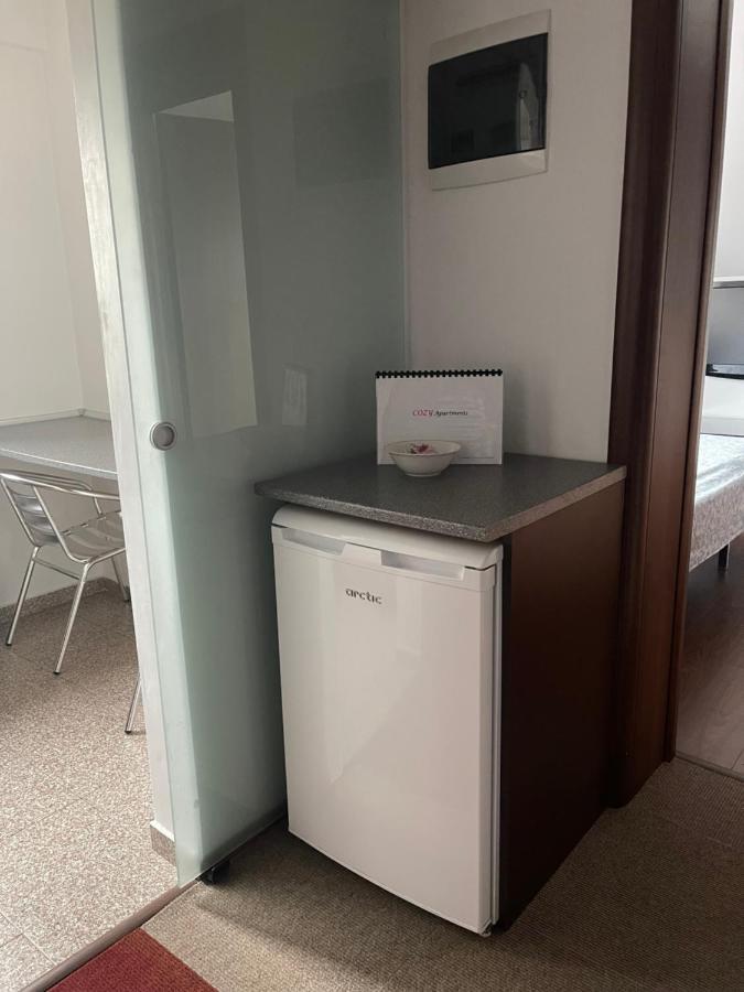 Vila Cu Trandafiri Cozy Apartments 2 Camere Bragadiru Bagian luar foto